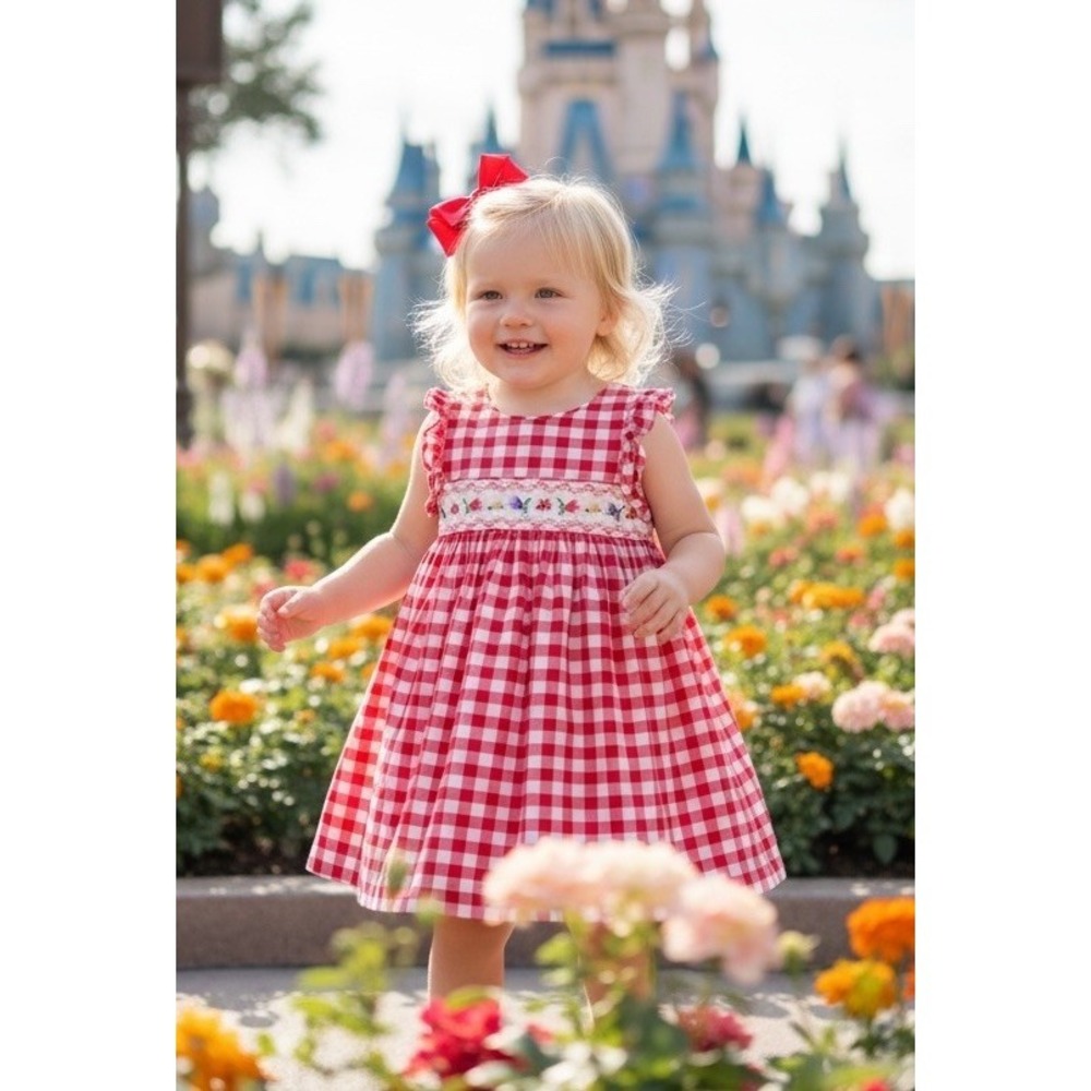 Bonnie Baby Smocked Smocking Dress Size 18 Month 18m Red White Gingham‎ Dress